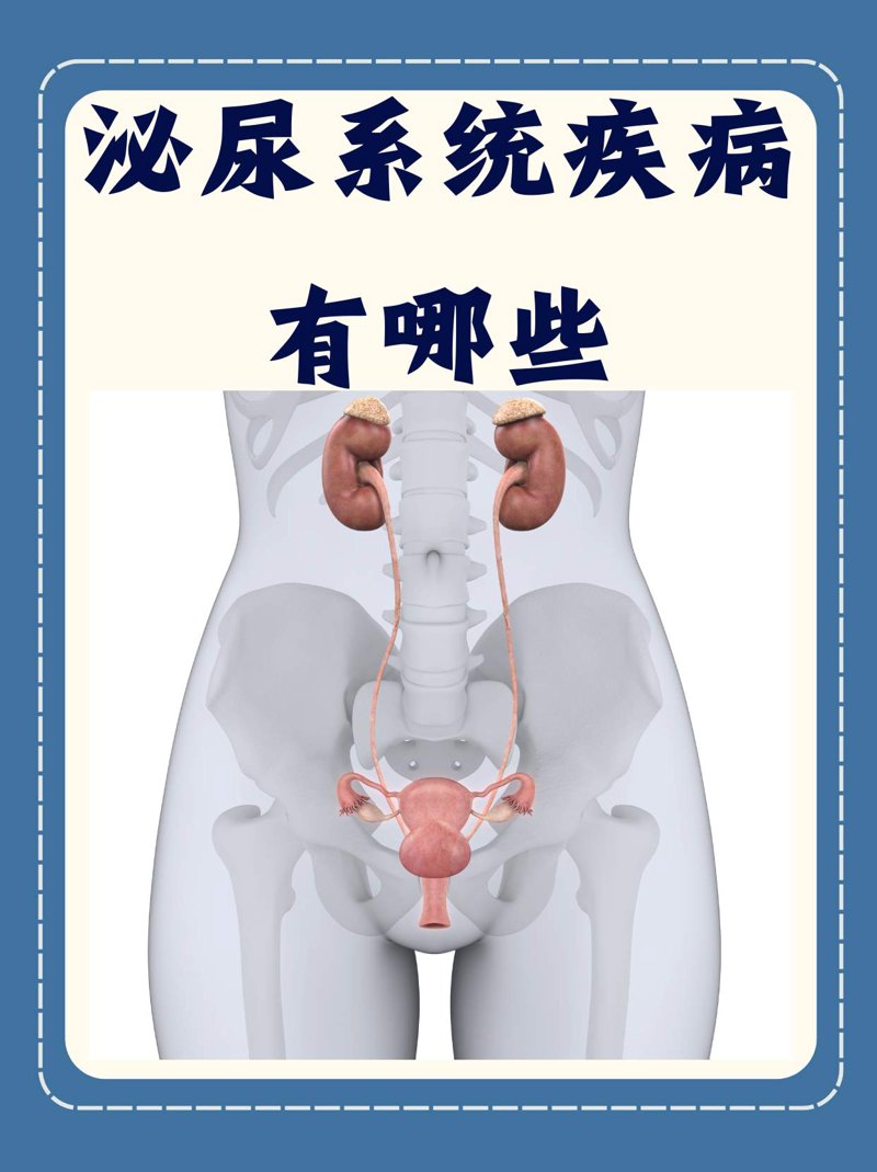 厦门出入境检验检疫局:保障厦门国际物流畅通的坚实保障