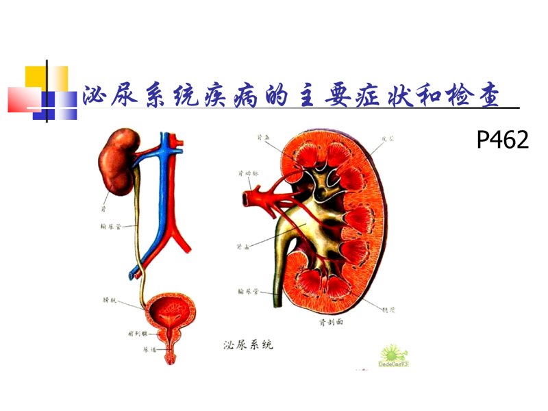 泌尿外科:守护健康,守护人生