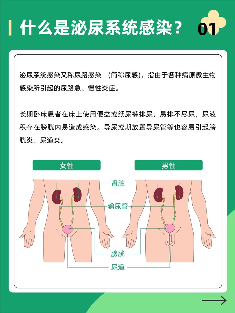 男科体检到底需要多少钱?这是一个让很多男性朋友头疼的问题。