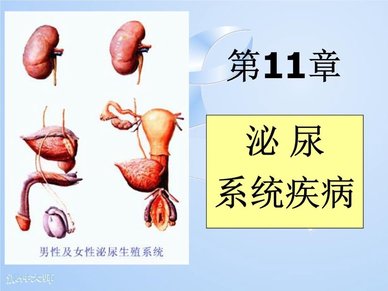 你是否因为泌尿系统的不适而感到困扰？选择一家好的泌尿外科医院是解决问题的关键。